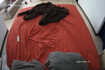 Libra Papi Bedroom Sex 2024-06-22 cam2