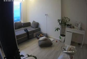 Exclusive, Living room apartment Pure Kitty and Archibald threesome rec3 2024-06-03