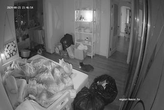 Mustafa and Magnolia bedroom sex, 21 08 2024 cam 2