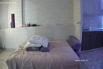 Andreza and Tommy more morning fuck in livingroom 2024-08-16 cam 2
