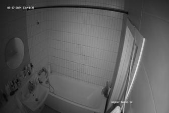 Fennec friend showering, 17 08 2024