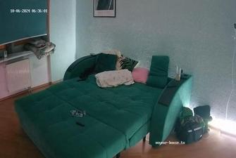 Guests sex 1, 06 10 2024 cam 2